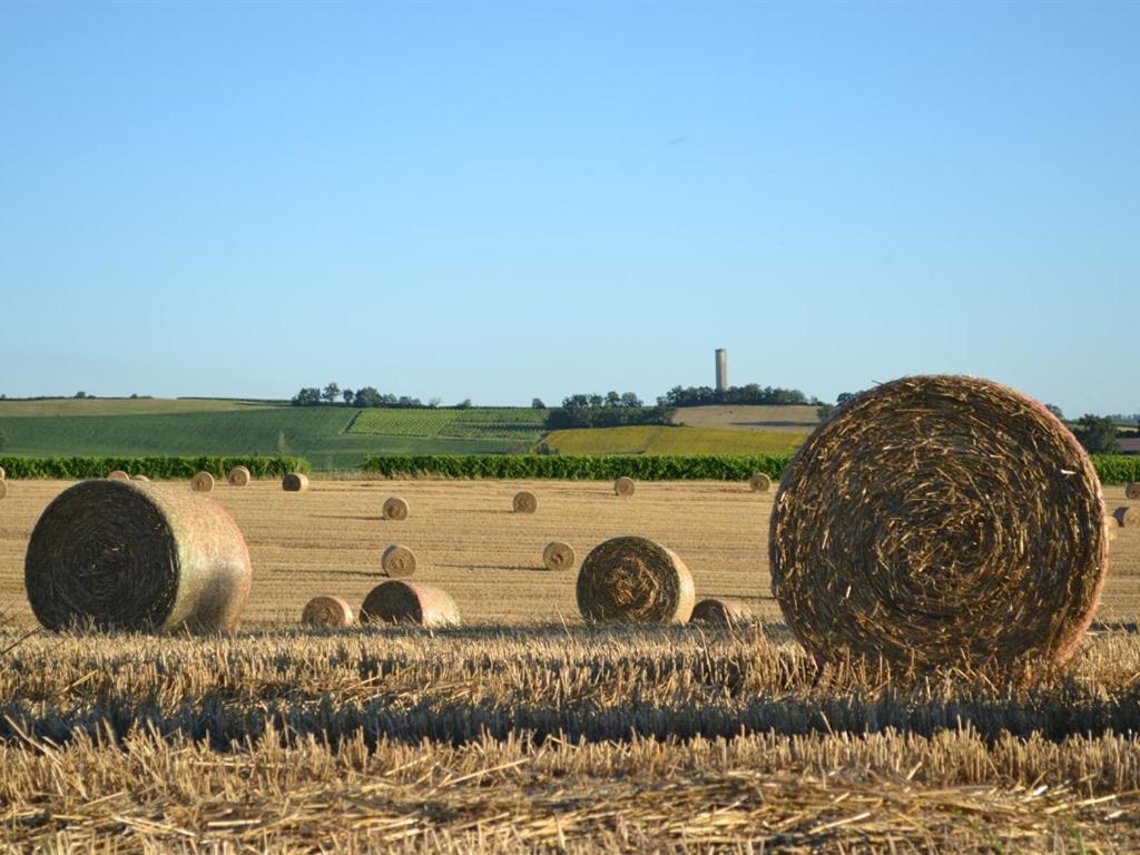 Du Côté de Chez Jeanne Fourcès Exterior foto